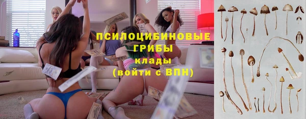 гашик Дмитриев